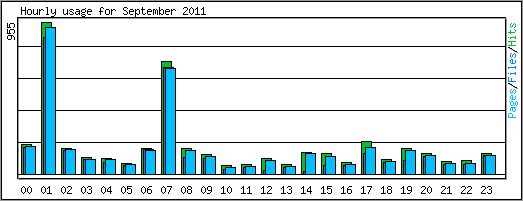 Hourly usage