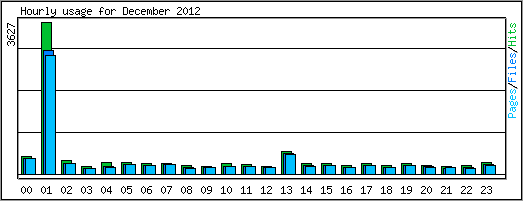 Hourly usage