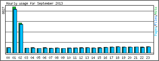 Hourly usage