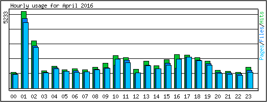 Hourly usage
