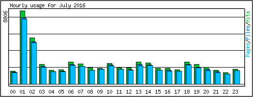Hourly usage