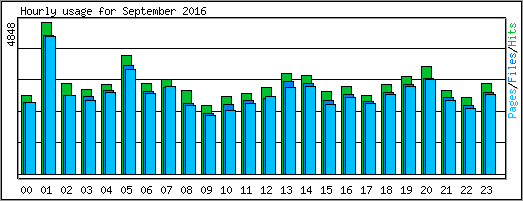 Hourly usage