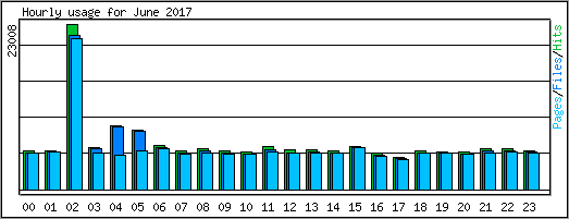 Hourly usage