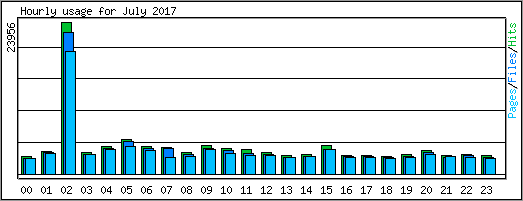Hourly usage