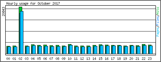 Hourly usage